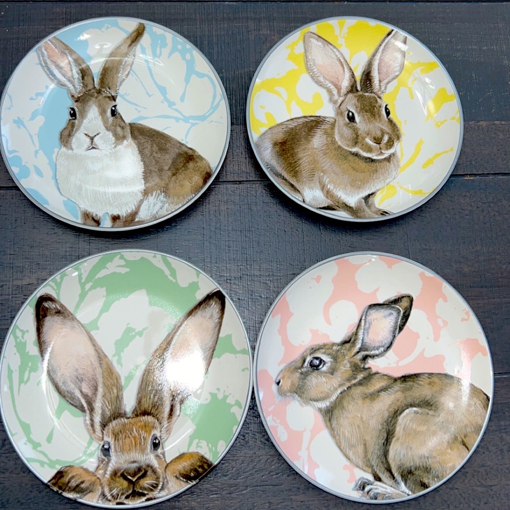 William Sonoma Plate set
